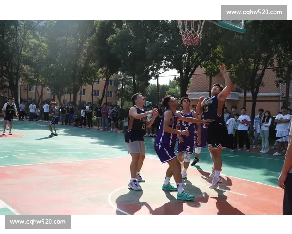 聚焦篮球赛事官方网站权威资讯赛程数据与精彩瞬间汇总新全面呈现